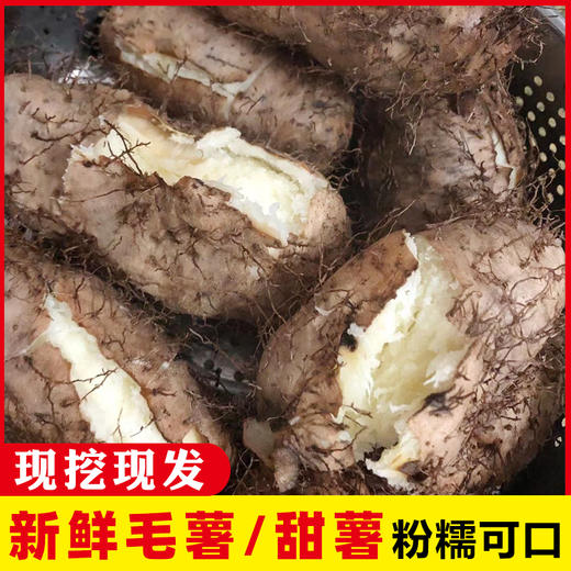 【助农】毛薯（5斤装） 商品图1