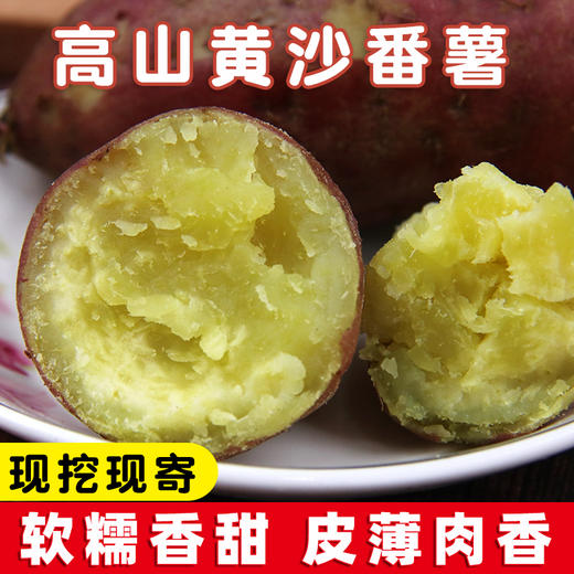 【助农】黄沙番薯（5斤装） 商品图0