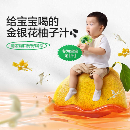 宝宝馋了 金银花柚子汁 100g*10 商品图0