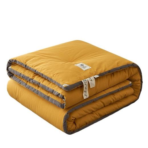 三泰龙 里外全棉纯色冬被新疆长绒棉加厚被子8斤 商品图4