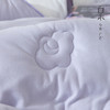 【白禾】【新款】白禾A火山双面绒舒适被芯 商品缩略图1