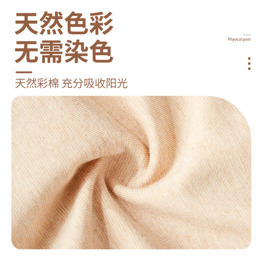 新疆彩棉亲肤女士中腰内裤（升级款）三条装 商品图3