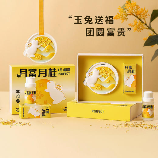 「月发富桂·礼盒装」中秋节石膏香薰礼盒衣柜月兔香挂居家日用室内车载扩香石伴手礼品 商品图0