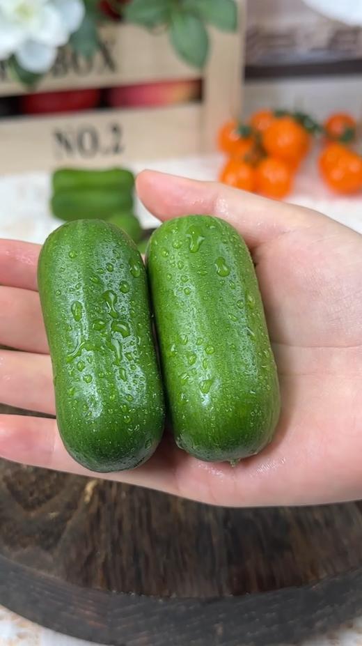 拇指黄瓜 清脆多汁 一口一根 超好吃 商品图0