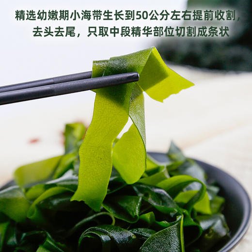 派绅有机幼嫩小海带  干货昆布霞浦海带苗凉拌免切60g/罐【京东快递送货上门】 商品图3