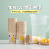 【茶花】原浆一次性杯子纸杯家用加厚大号 商品缩略图5
