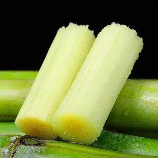 【顺丰包邮】2025年头茬鲜果上市可以手撕的陶山甘蔗 青皮果蔗 皮薄质脆 纤维细而少 汁水充沛 妥妥的糖水炸弹 甘蔗爱好者不可错过 基地直邮 商品图0