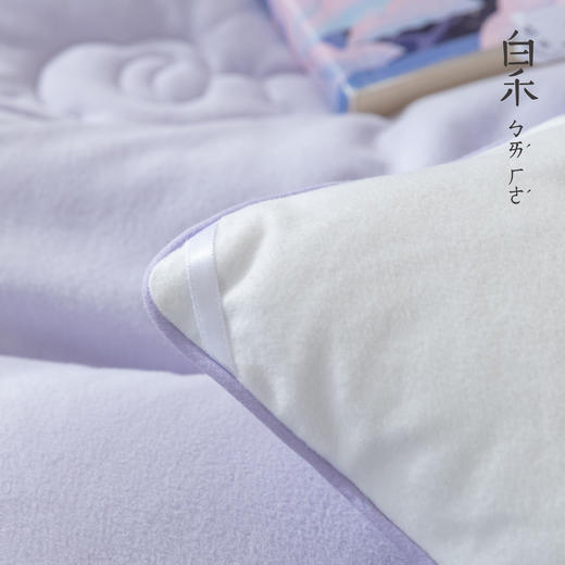 【白禾】【新款】白禾A火山双面绒舒适被芯 商品图8
