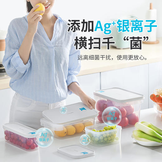 【茶花】抗菌保鲜盒冰箱专用食品保鲜盒 商品图2