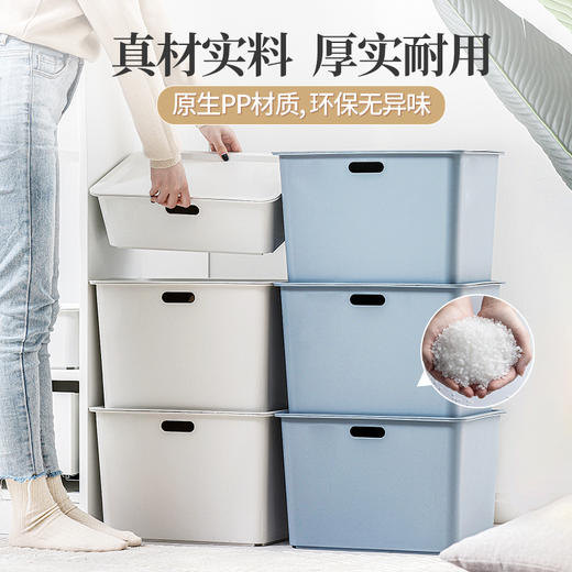 【茶花】9L方形带盖储物盒 商品图3