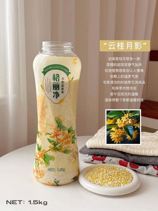 品牌直发🔥限时特价💰39.9到手1大瓶【格丽净·超级巨无霸衣物留香珠3斤】❗一瓶用半年💥 轻轻一搓，仿佛置身花海💖 ✅持久留香，1瓶=除螨+抑菌😍+留香+柔顺 商品图4