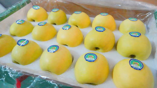 【瑞雪苹果】15枚70mm小果 青绿色苹果清甜无酸 一口吃出百花香  新鲜陕西洛川苹果新品种瑞雪苹果  5斤左右 商品图5