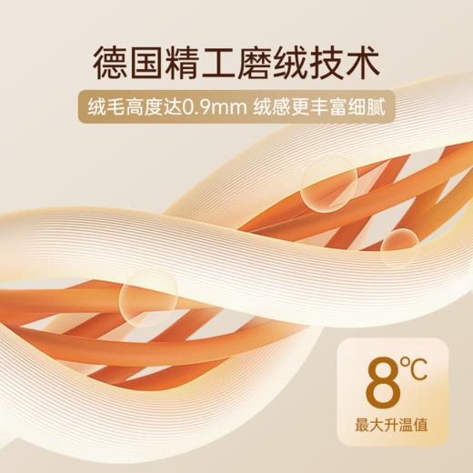 2025年秋冬新款雅芳婷艾阳绒磨毛四件套抑菌保暖被套床笠床上用品 商品图1
