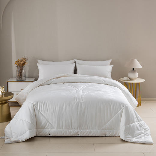 2025年秋冬新款雅芳婷全棉蚕丝冬被加厚保暖四季被冬季被子被芯 商品图5