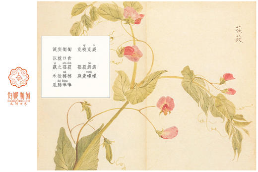 SZ3S85_胭脂色_连衣裙_秋冬_长袖圆领收腰大摆提花长款_高级女装_BERNIEELEN 伯妮斯茵 商品图2