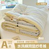 a类新款糯叽叽ins风双层纱水洗棉加厚冬被被子被芯 商品缩略图6