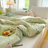 a类新款糯叽叽ins风双层纱水洗棉加厚冬被被子被芯 商品缩略图1