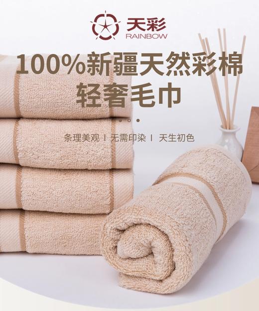 素色缎档毛巾两条装 纯棉吸水家用洁面巾 浴室日常款 商品图1
