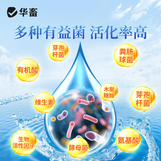 华畜em菌水产养殖专用原种菌粉调水净水免发酵芽孢杆菌鱼塘活菌 商品图3