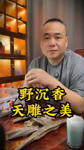 野沉香原料，独特天雕造型，大自然之美。