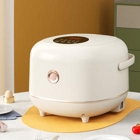 炊大皇微电脑电饭煲CDH-FB0531—rxs