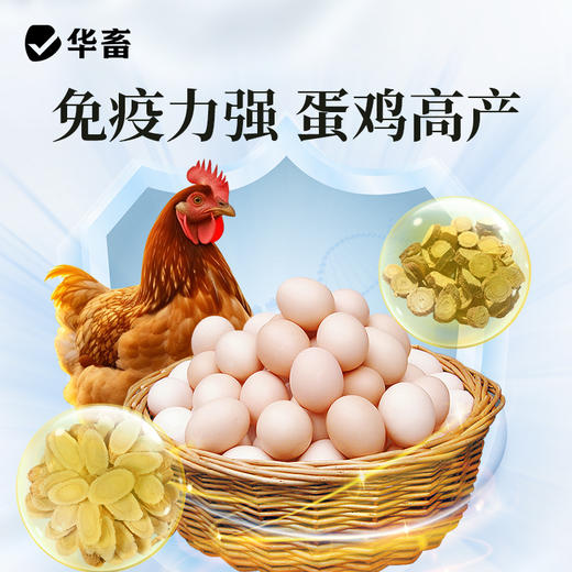 华畜强力增蛋宝蛋多多鸡鸭鹅产蛋宝芦丁鸡鸽子催蛋王改善蛋质 商品图4