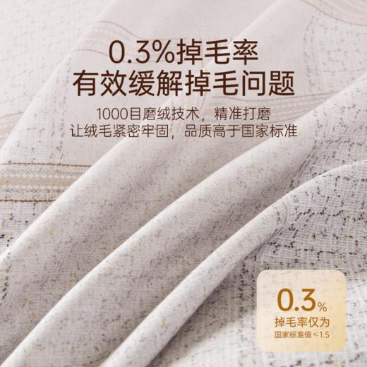 2025年秋冬新款雅芳婷艾阳绒磨毛四件套抑菌保暖被套床笠床上用品 商品图4