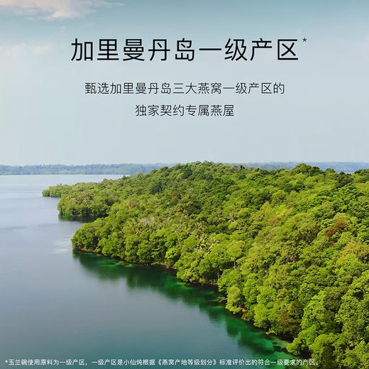 小仙炖鲜炖燕窝玉兰碗70g*7瓶系列 商品图1