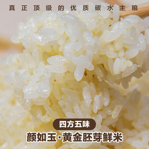 四方五味·颜如玉·黄金胚芽鲜米 商品图2