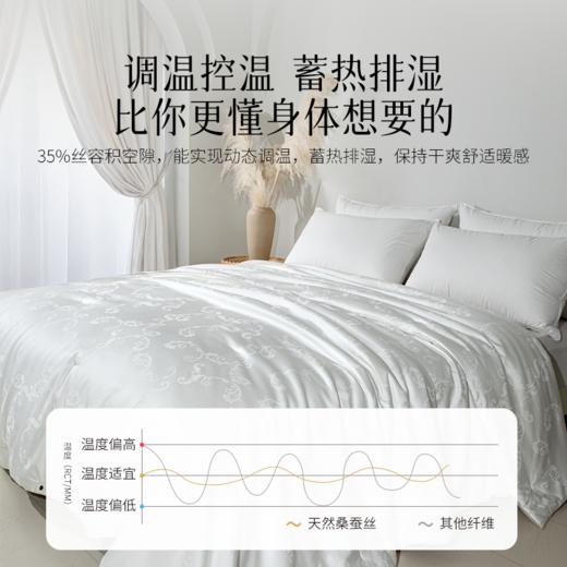2025年秋冬新款雅芳婷蚕丝被100%桑蚕丝长丝冬被冬季保暖被子被芯 商品图2