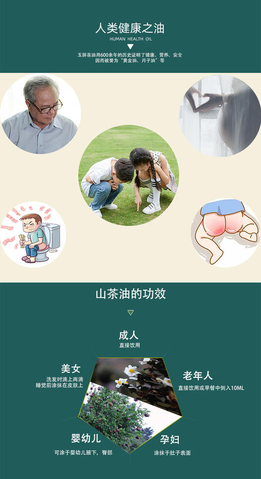 铜仁玉屏【万纯玉屏茶油】一级冷榨山茶油 精美礼盒送礼优选 历史传承食品级用料 商品图4