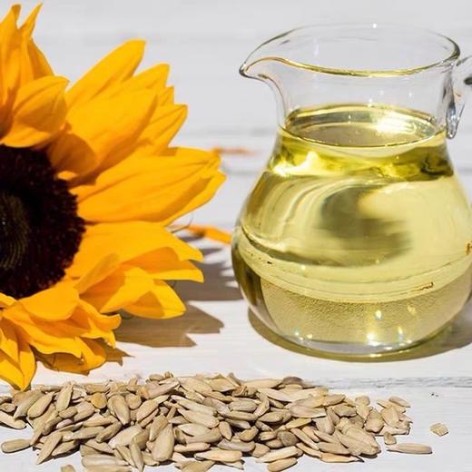 俄罗斯 萨拉托夫牌 葵花油-5L 商品图2