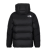 【超惠秒】The North Face M 北面 喜马拉雅羽绒派克大衣12300 商品缩略图3