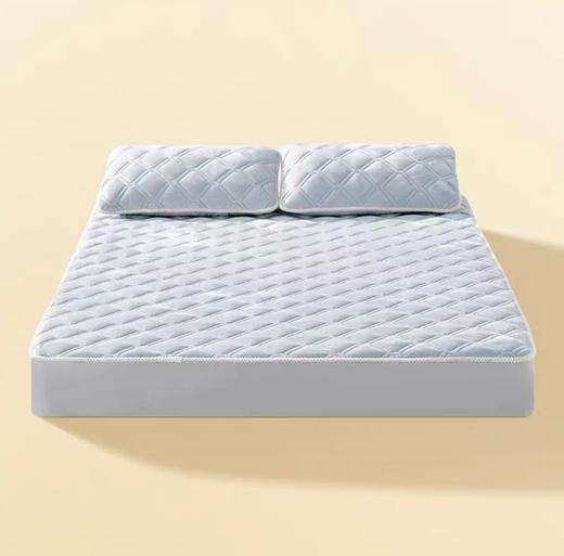 (包邮)emo一默糯糯抗菌暖垫（三种颜色，多种规格） 商品图4