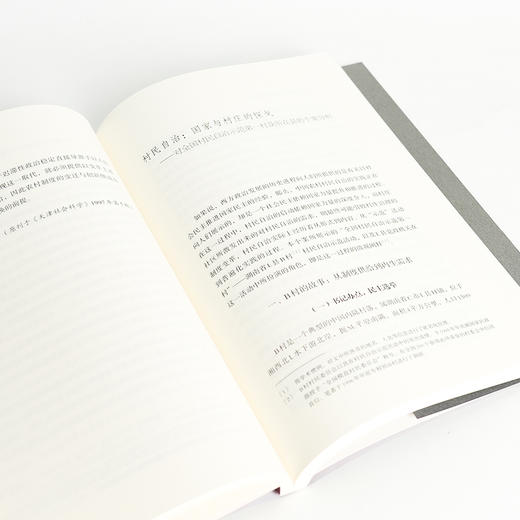 吴毅《巨轮驶过：大历史与小村庄》 商品图5