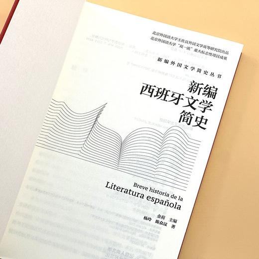 新编西班牙文学简史(新编外国文学简史丛书) 商品图4