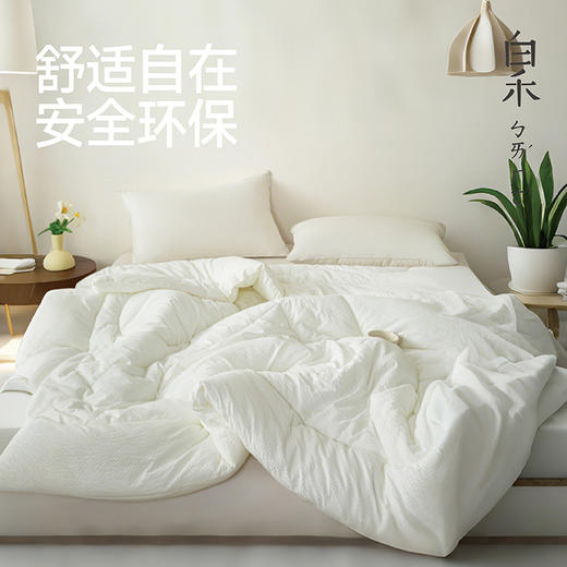 【白禾】A嘭嘭小棉朵冬被芯-中号 商品图1