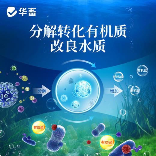 华畜em菌水产养殖专用原种菌粉调水净水免发酵芽孢杆菌鱼塘活菌 商品图5