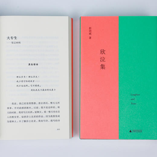 欣泣集 | 彭剑斌书写生命体验的青春之作，在漆黑的内心世界探寻、迷路，在绝望之巅照亮无边的虚无 商品图3