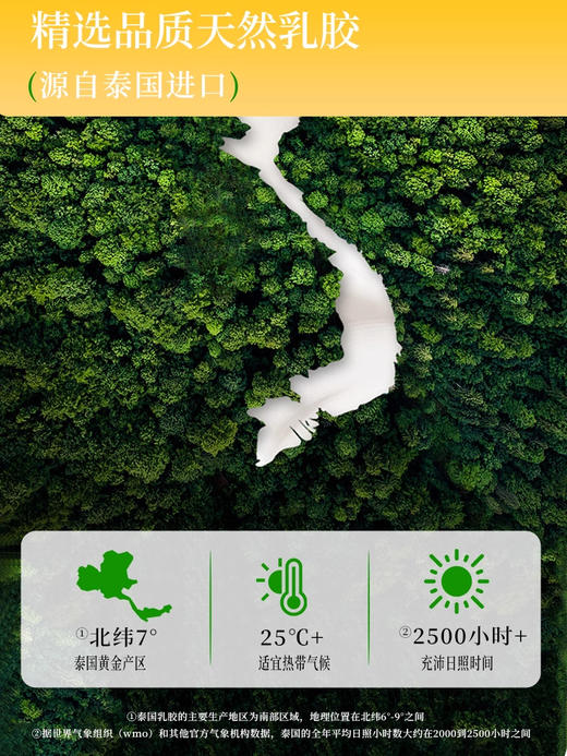 桃可可小雨伞小黄盒螺纹款 商品图4