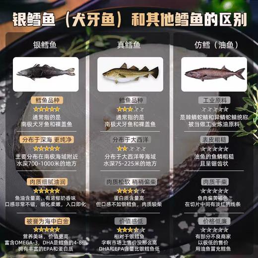 原切南极犬牙鱼（银鳕鱼） 商品图1