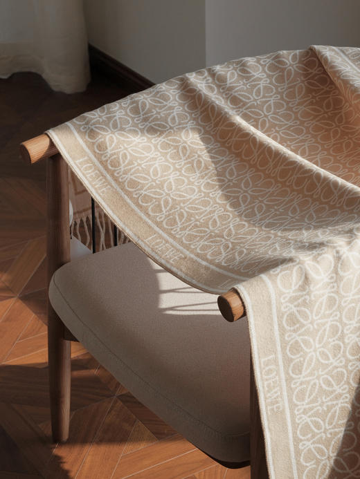 WJ11-罗意威 羊绒围巾（QZ*MM） 商品图5