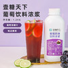 葡萄风味糖浆&香草糖浆&海盐糖浆&绿薄荷糖浆&1.2KG果茶奶茶店专用 商品缩略图1