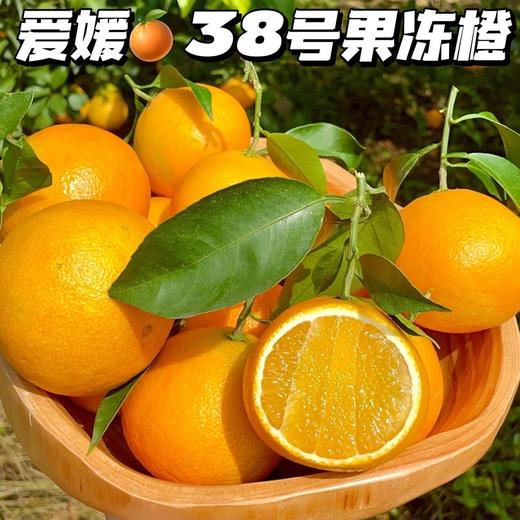 【爱媛38号果冻橙】果园直采，现摘现发，现在爱媛口感已到峰期，果味浓郁，自然果酸，一撕即开，果肉晶莹剔透，香甜美味，咬一口，爆珠口感，满满橙汁，水分超足~泡沫箱装 商品图3