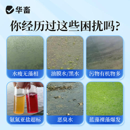 华畜em菌水产养殖专用原种菌粉调水净水免发酵芽孢杆菌鱼塘活菌 商品图1