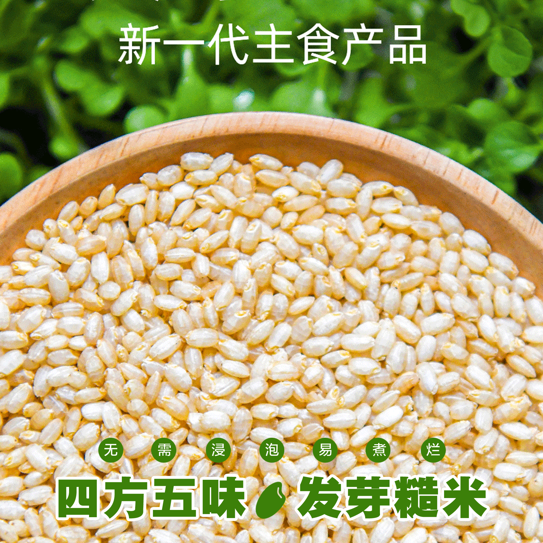 四方五味·发芽糙米