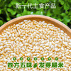 四方五味·发芽糙米 商品缩略图0