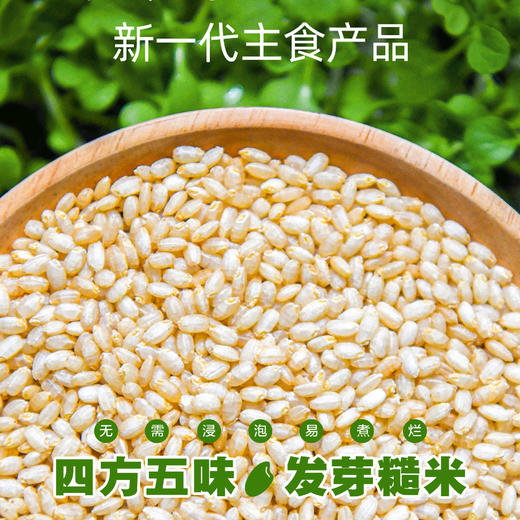 四方五味·发芽糙米 商品图0