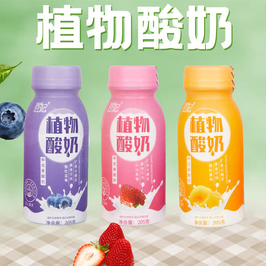 大豆植物酸奶(纯素酸奶)    0胆固醇 营养好喝 老少皆宜 商品图1