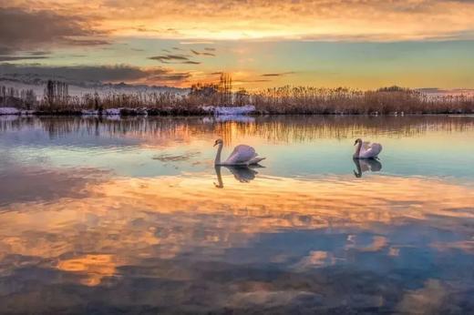 冬天的北疆美哭！娃说比夏天震撼！【雪域北疆·蓝调伊犁寒假亲子营】精品小团，1家1越野车，住库尔德宁雪景木屋，寻赛里木湖蓝冰秘境，畅滑4S级国际雪场，看冰雪大世界~早鸟立减1000！ 商品图2